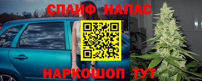 PSILOCYBIN Кулебаки