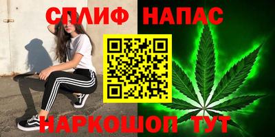PSILOCYBIN Кулебаки