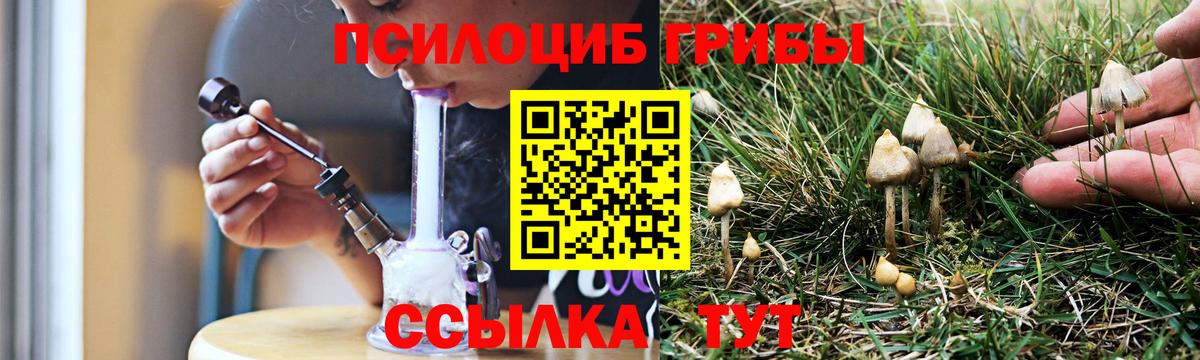 Псилоцибиновые грибы мухоморы Кизилюрт